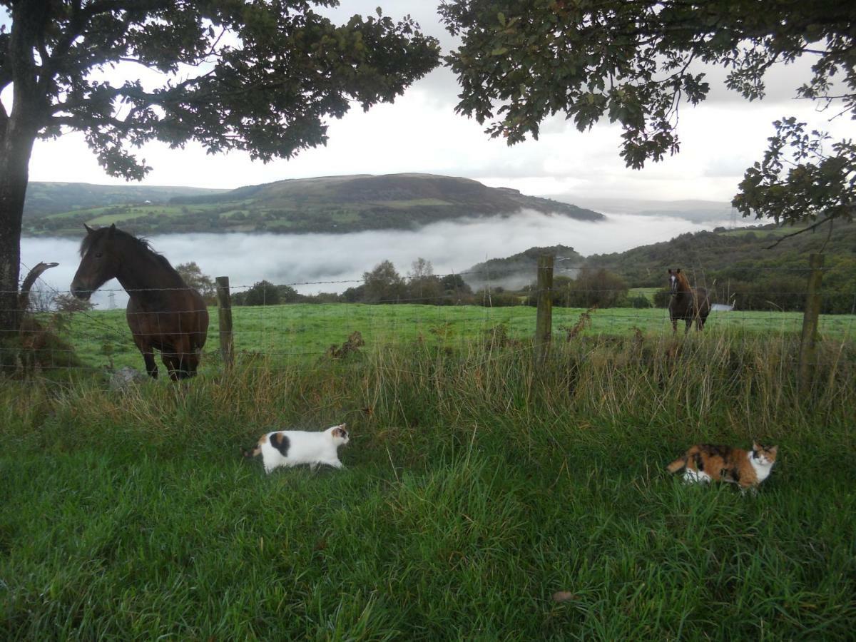 1 Tan Yr Eglwys Barn Cottage Pontardawe Bagian luar foto